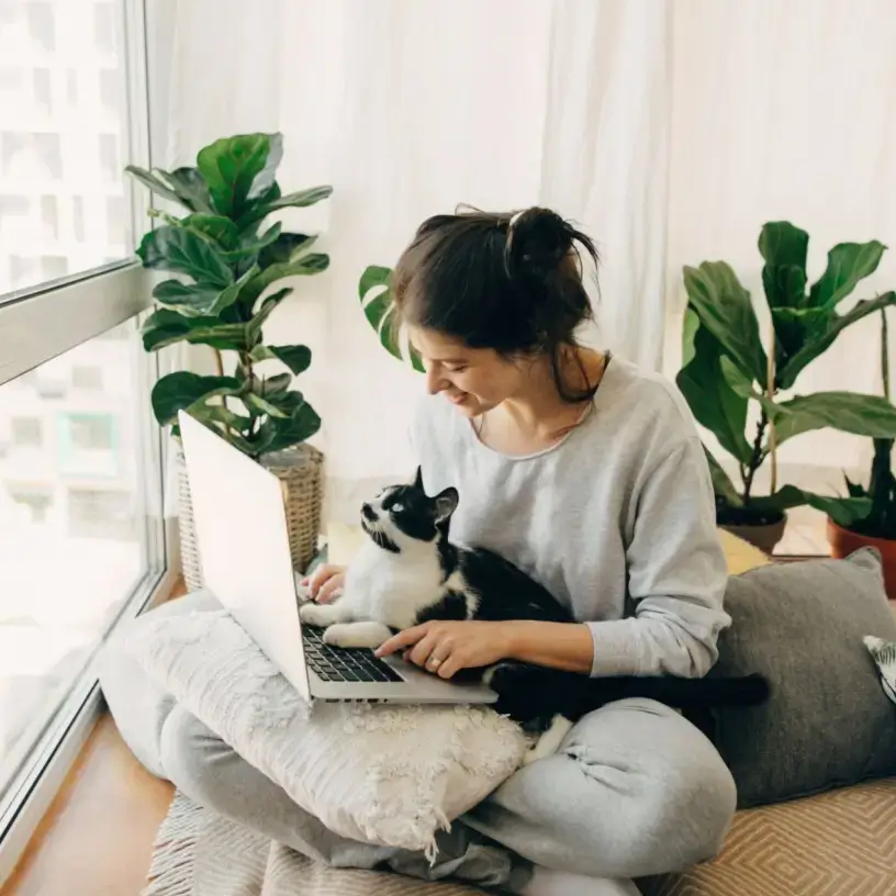 Woman sitting with cat and laptop
