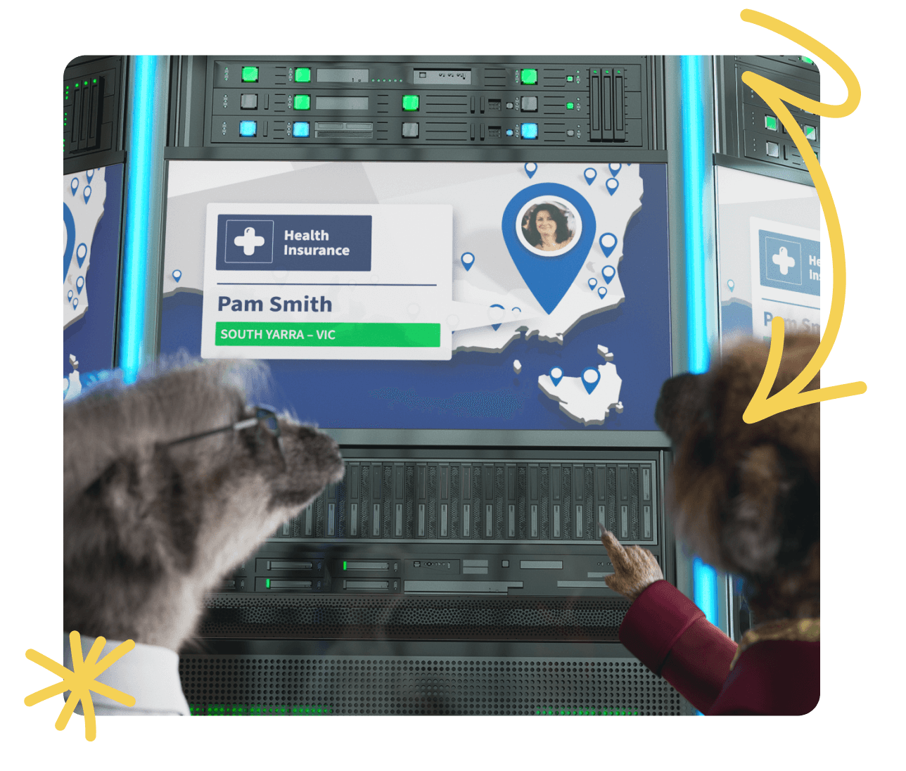 Meerkats pointing at screen